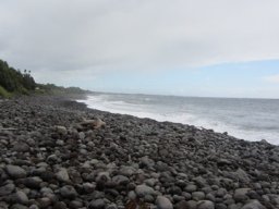 Visite de la petite cousine !